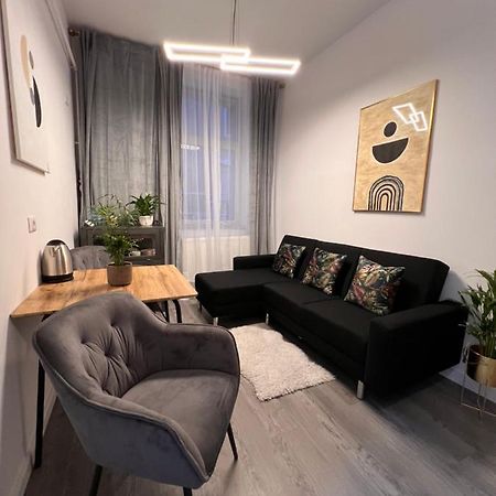 Musai Apartment ブラショフ エクステリア 写真