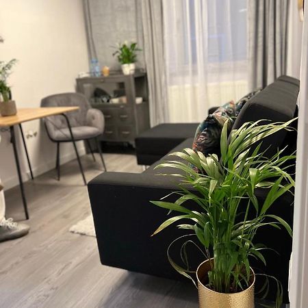 Musai Apartment ブラショフ エクステリア 写真