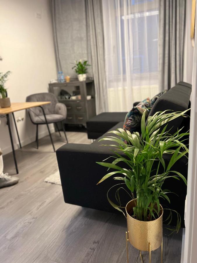 Musai Apartment ブラショフ エクステリア 写真